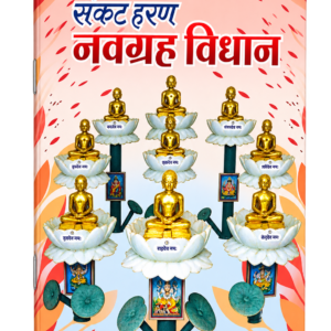 navgrah Vidhan